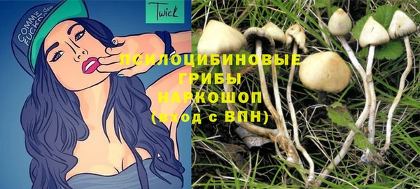 PSILOCYBIN Навашино