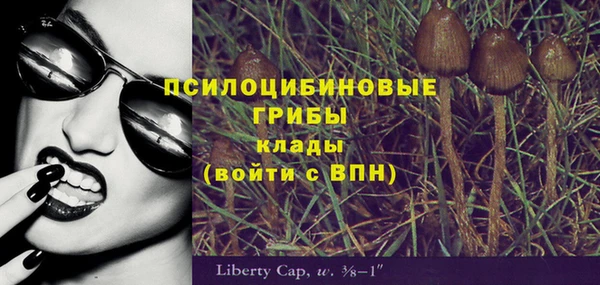 PSILOCYBIN Навашино