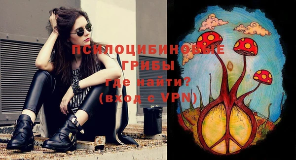 мяу мяу мука Надым