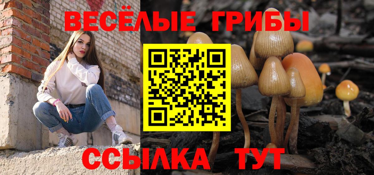 Галлюциногенные грибы мухоморы  Вход с VPN  Йошкар-Ола 